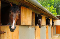 free Penrhyn Side stable construction quotes